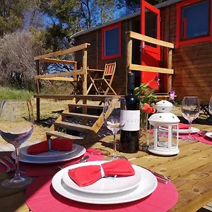moledos-glamping.hotelaalgarve.com/